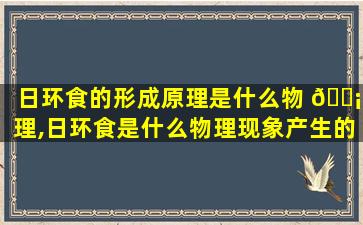 日环食的形成原理是什么物 🐡 理,日环食是什么物理现象产生的